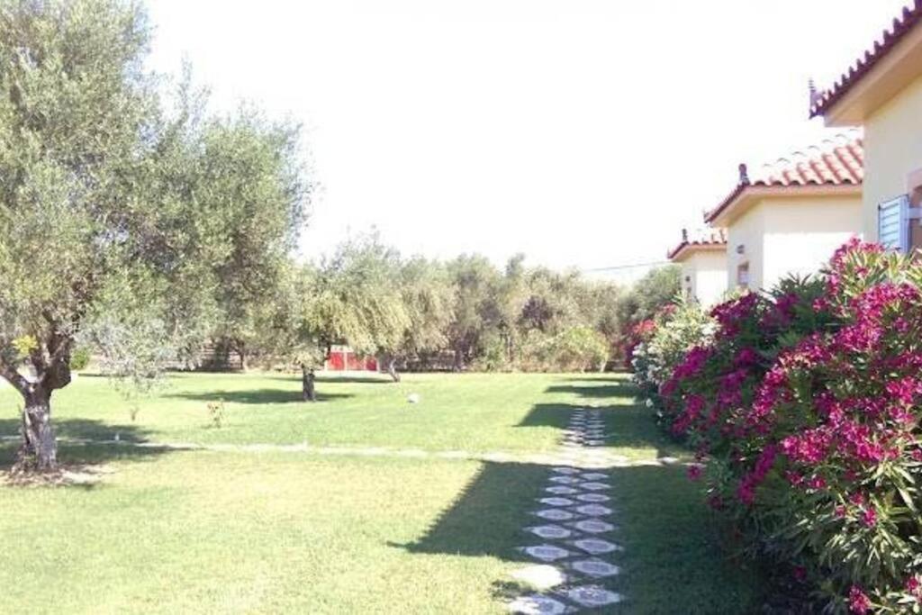 Phyllida Guest House - A2 Zaháro Kültér fotó